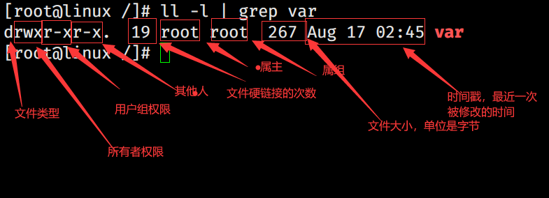 Linux 中的文件简单说明